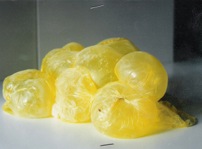 sculpture en pate a ballon